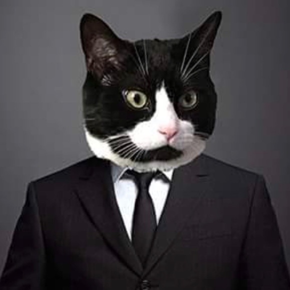 Meet your Posher, Kim - Picture 6 of 16